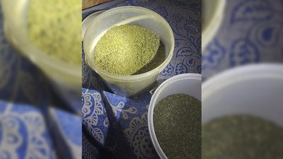 Сушені коноплі, які вилучили у чернігівця