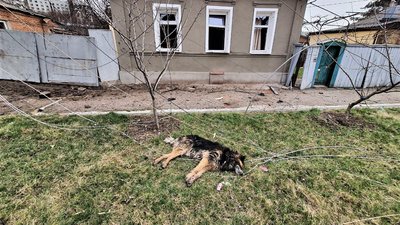 "Руський мир звільнив від хати": Харків обстріляли снарядами на парашутах