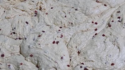 Сім тисяч пасок виготовляють за добу на Бердичівському хлібозаводі на Житомирщині Сім тисяч пасок виготовляють за добу на Бердичівському хлібозаводі на Житомирщині