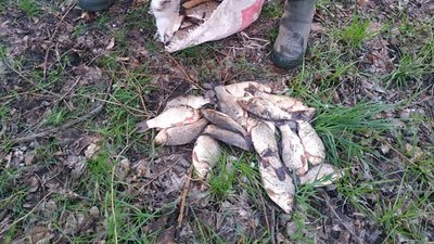 На Сумщині екоінспектори затримали рибалок, які завдали збитків державі на понад півмільйона гривень