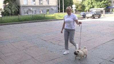Журналістка Оксана Гебрич зі своїм собакою – мопсом Нотою Журналістка Оксана Гебрич зі своїм собакою – мопсом Нотою