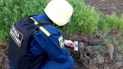 Боєприпаси часів Другої світової війни знешкодили піротехніки на Херсонщині