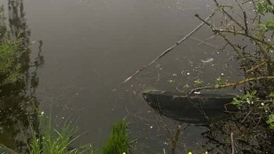 ставок, водойма, човен