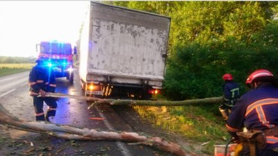 Повалені дерева та розмиті дороги. На Франківщині ліквідовують наслідки негоди