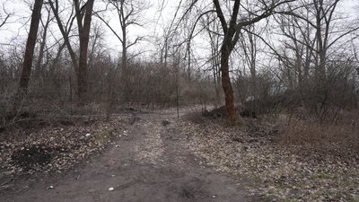 Ділянка лісопаркової зони у Кропивницькому, відповідно до реєстру, належить Сергію Димитровичу Ділянка лісопаркової зони у Кропивницькому, відповідно до реєстру, належить Сергію Димитровичу