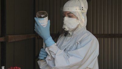 Рекорд за майже півріччя. У Чернівецькій області за добу COVID-19 виявили у понад 300 людей