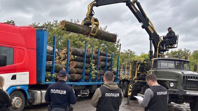 Незаконна вирубка лісу на Вінниччині