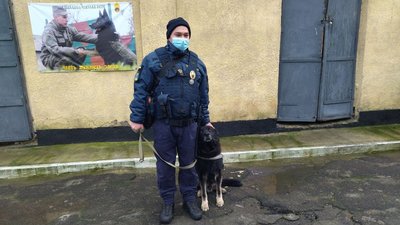 Службові собаки. У Миколаєві шість чотирилапих охоронців допомагають охороняти порядок Службові собаки. У Миколаєві шість чотирилапих охоронців допомагають охороняти порядок