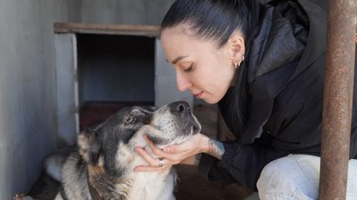 алабай, військові, допомога, Дніпро