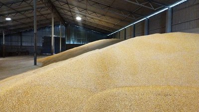 Сільгоспвиробники Кіровоградщини збільшили переробку зерна. Куди дівають продукцію і як підтримує держава Сільгоспвиробники Кіровоградщини збільшили переробку зерна. Куди дівають продукцію і як підтримує держава