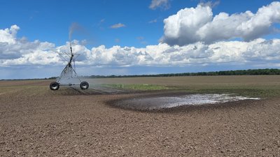 Система зрошення необхідна на кожне поле Полтавської області