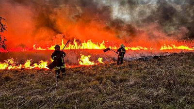 Паліїв побільшало: на Черкащині від початку року оштрафували понад сотню людей