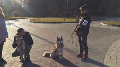 У тернопільському парку провели забіг із домашніми улюбленцями У тернопільському парку провели забіг із домашніми улюбленцями