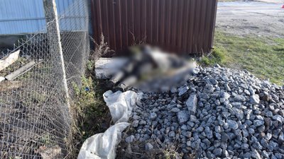 Побили й залишили помирати на зупинці: на Вінниччині затримали двох чоловіків Побили й залишили помирати на зупинці: на Вінниччині затримали двох чоловіків