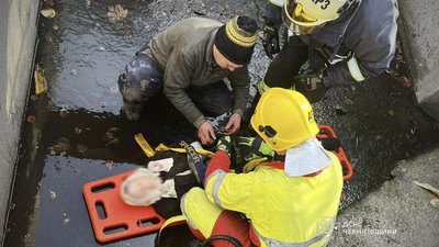 Бабуся впала з мосту у Чернігові