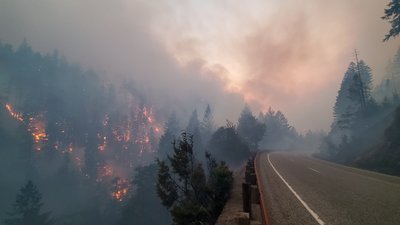 У США пожежі знищили майже 500 тисяч гектарів лісу