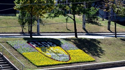 У Києві створили квітник на честь полку "Азов"
