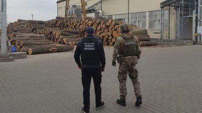 Незаконно вирубували ліс: на Вінниччині затримали злочинну групу Незаконно вирубували ліс: на Вінниччині затримали злочинну групу