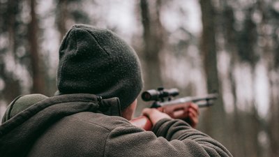 Пів мільйона українців за добу висловились у "Дії" щодо володіння короткоствольною зброєю