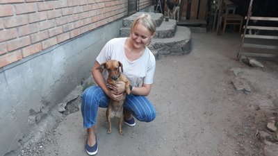 Молі. Молі.