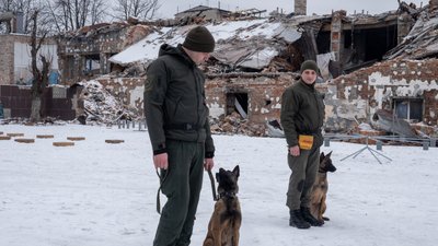 "В кожної свій характер": як у Харкові тренують собак, які служитимуть у Нацгвардії "В кожної свій характер": як у Харкові тренують собак, які служитимуть у Нацгвардії