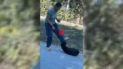 Тягнула собаку за повідець, а потім вдарила: поліція перевіряє інформацію на Рівненщині