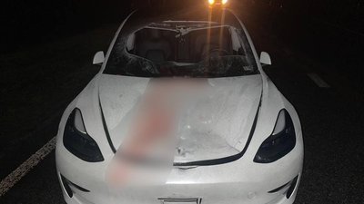 ДТП біля Золотоноші
