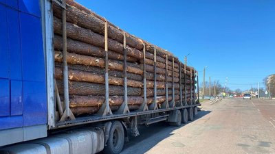 З Житомирщини нелегально вивозять деревину