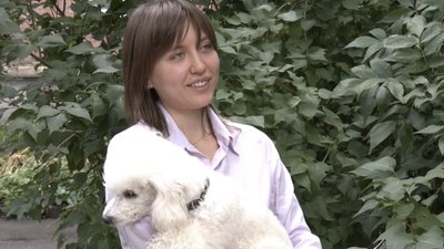 Платформа донорства крові для котів та собак: як працює та хто може скористатися Платформа донорства крові для котів та собак: як працює та хто може скористатися