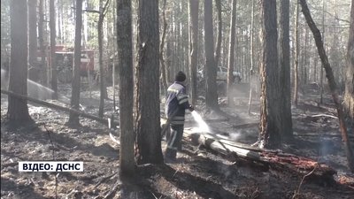 Відкритих осередків вогню в Овруцькому району немає. Місцевих жителів відселили Відкритих осередків вогню в Овруцькому району немає. Місцевих жителів відселили