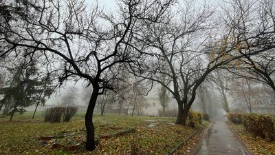 Туман в Черкасах