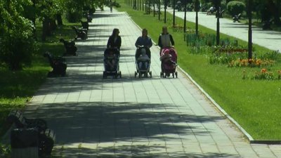 У Луцьку дезинфікуватимуть парки від кліщів, біолог каже: це - недоцільно У Луцьку дезинфікуватимуть парки від кліщів, біолог каже: це - недоцільно