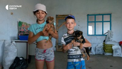 В Одеській області облаштували ферму для собак і котів з Херсонщини В Одеській області облаштували ферму для собак і котів з Херсонщини
