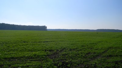 Закарпатця підозрюють у незаконному заволодінні землею у понад 1 млн грн