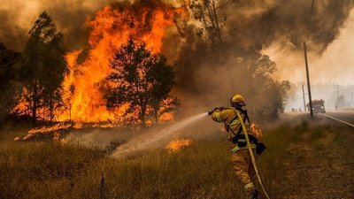 На Полтавщині найвищий рівень пожежної небезпеки: що не можна робити