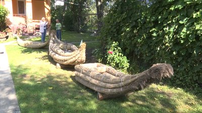 Мешканець Львівщини розповів про виготовлення човнів з очерету Мешканець Львівщини розповів про виготовлення човнів з очерету
