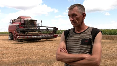 Збирають пшеницю, об’їжджаючи воронки від снарядів: як проходять жнива на Чернігівщині Збирають пшеницю, об’їжджаючи воронки від снарядів: як проходять жнива на Чернігівщині