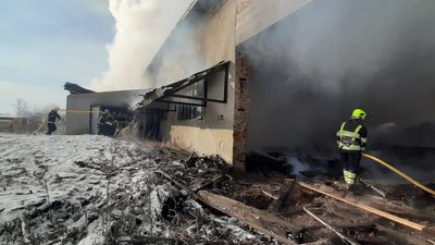Пожежа на деревообробному комбінаті на Закарпатті: загорілася тирса в занедбаному цеху
