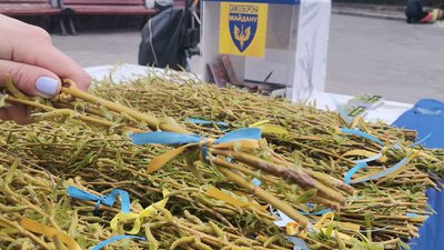 Продаючи вербу волонтери у Луцьку зібрали для ЗСУ понад 55 тисяч гривень