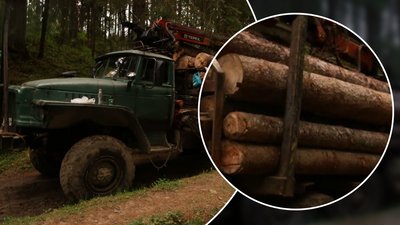 УРАЛ, автівка, деревина, ліс, заповідник