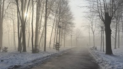 Погода Чернівці Чернівецька область 15 лютого