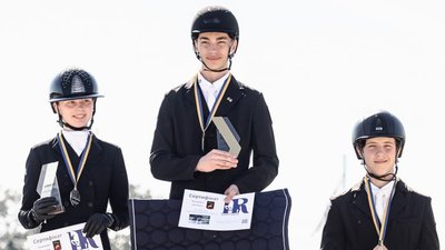 Спорт, виїздка, коні, Дніпро