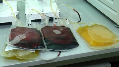 У Житомирі у Всесвітній день донора близько сотні людей прийшли здавати кров У Житомирі у Всесвітній день донора близько сотні людей прийшли здавати кров