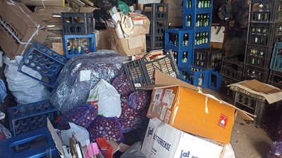 Прийом каштанів у Кропивницькому Прийом каштанів у Кропивницькому