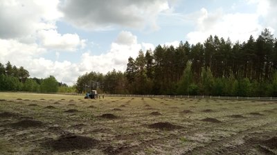 На Полтавщині заклали плантацію горіхів
