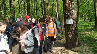 Екоквест: під Луцьком "хобіти" та "ельфи" долали 5-кілометровий маршрут