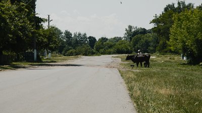 "Чому ми маємо зі своєї землі тікати?". Староста прикордонної Павлівки розповіла, як переживають війну "Чому ми маємо зі своєї землі тікати?". Староста прикордонної Павлівки розповіла, як переживають війну