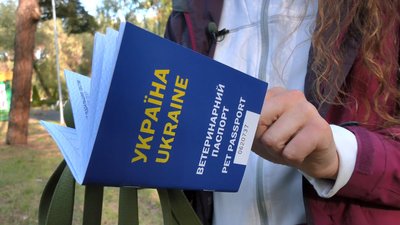 У Черкасах хаскі з Донеччини шукає родину У Черкасах хаскі з Донеччини шукає родину