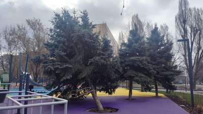 У Дніпрі фіксують прояви вандалізму у відремонтованих скверах