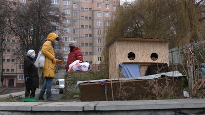 волонтери і коти волонтери і коти